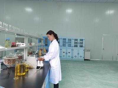 重慶城口核桃精深加工項目投產，帶動3萬農戶增收并拓展茶葉制品生產