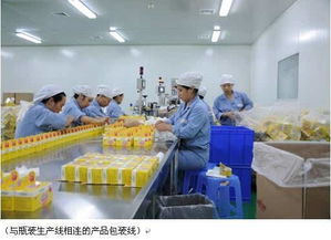 河北省全面啟動保健食品及茶葉制品生產(chǎn)經(jīng)營許可換證工作，筑牢安全防線