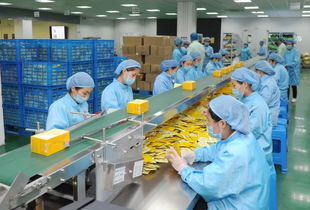 姚書記強調安全生產(chǎn) 確保國慶佳節(jié)平安祥和——重點關注茶葉制品生產(chǎn)領域