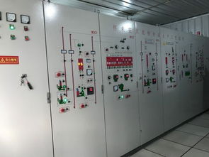 京東超市11.11溯源團(tuán)走進(jìn)安貝茶業(yè) 以定制化產(chǎn)品驅(qū)動三倍增長新目標(biāo)