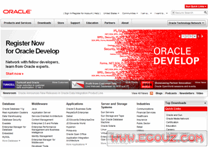 企業在線資源與軟件開發整合指南 從公司目錄到專業服務